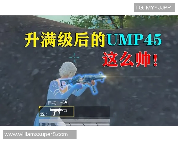 和平精英评论：LNG的防守得失