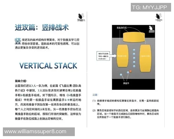 飞盘战术：重庆飞盘队的中路突破体系_1